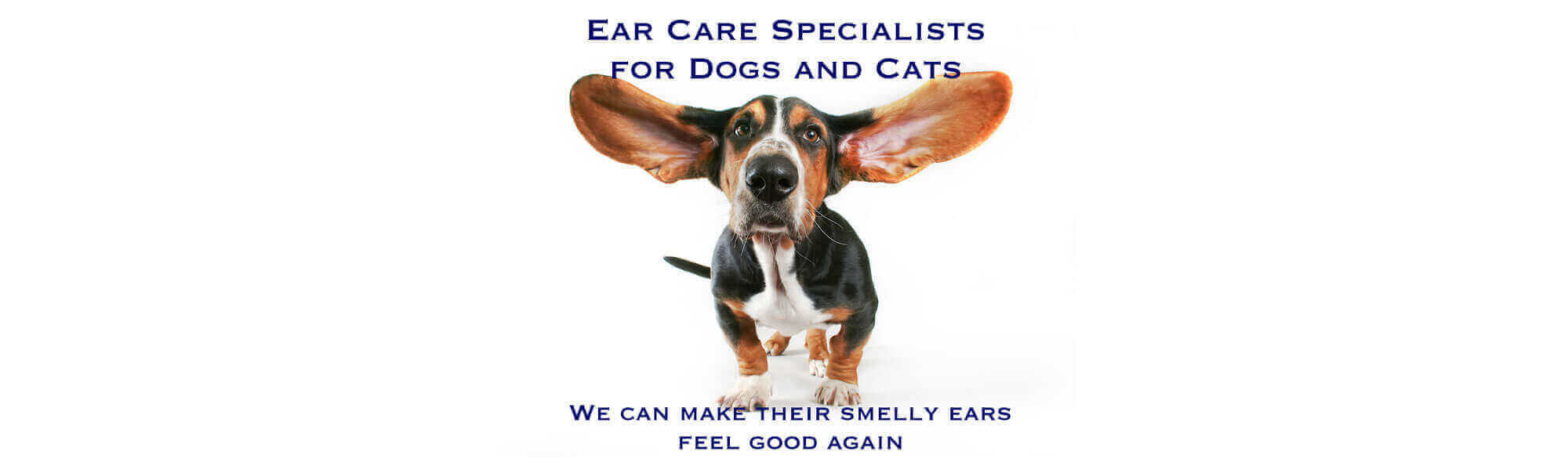 3 Ears, Otitis, Deep Ear Flush, Video Otoscopy, Ear Infections